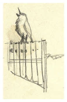 Visualizza l'immagine "FD D 1313"